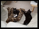 Artemis and Calypso10