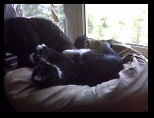 Artemis and Calypso12
