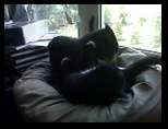 Artemis and Calypso16