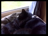 Artemis and Calypso18
