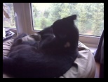 Artemis and Calypso19