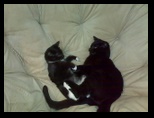 Artemis and Calypso20