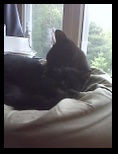 Artemis and Calypso28