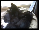 Artemis and Calypso30