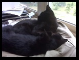 Artemis and Calypso33