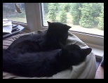 Artemis and Calypso34