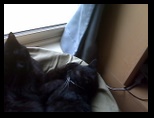 Artemis and Calypso36