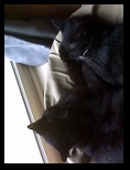 Artemis and Calypso38
