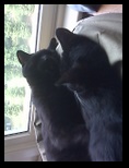 Artemis and Calypso40