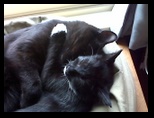 Artemis and Calypso44