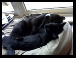 Artemis and Calypso47