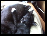 Artemis and Calypso48