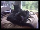 Artemis and Calypso50