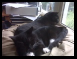 Artemis and Calypso51