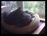 Artemis and Calypso52