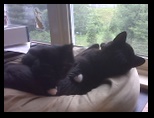 Artemis and Calypso53