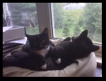 Artemis and Calypso54