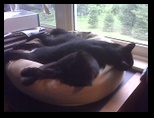 Artemis and Calypso55