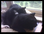 Artemis and Calypso58